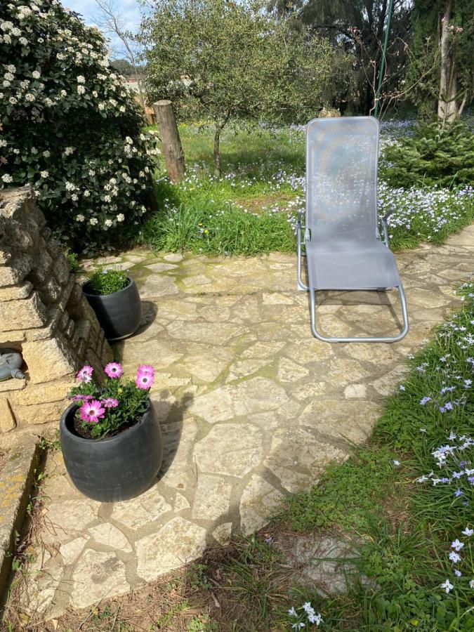 Havre De Paix Au Pont Du Gard Piscine Et Jacuzzi Chez Valerie Payre *