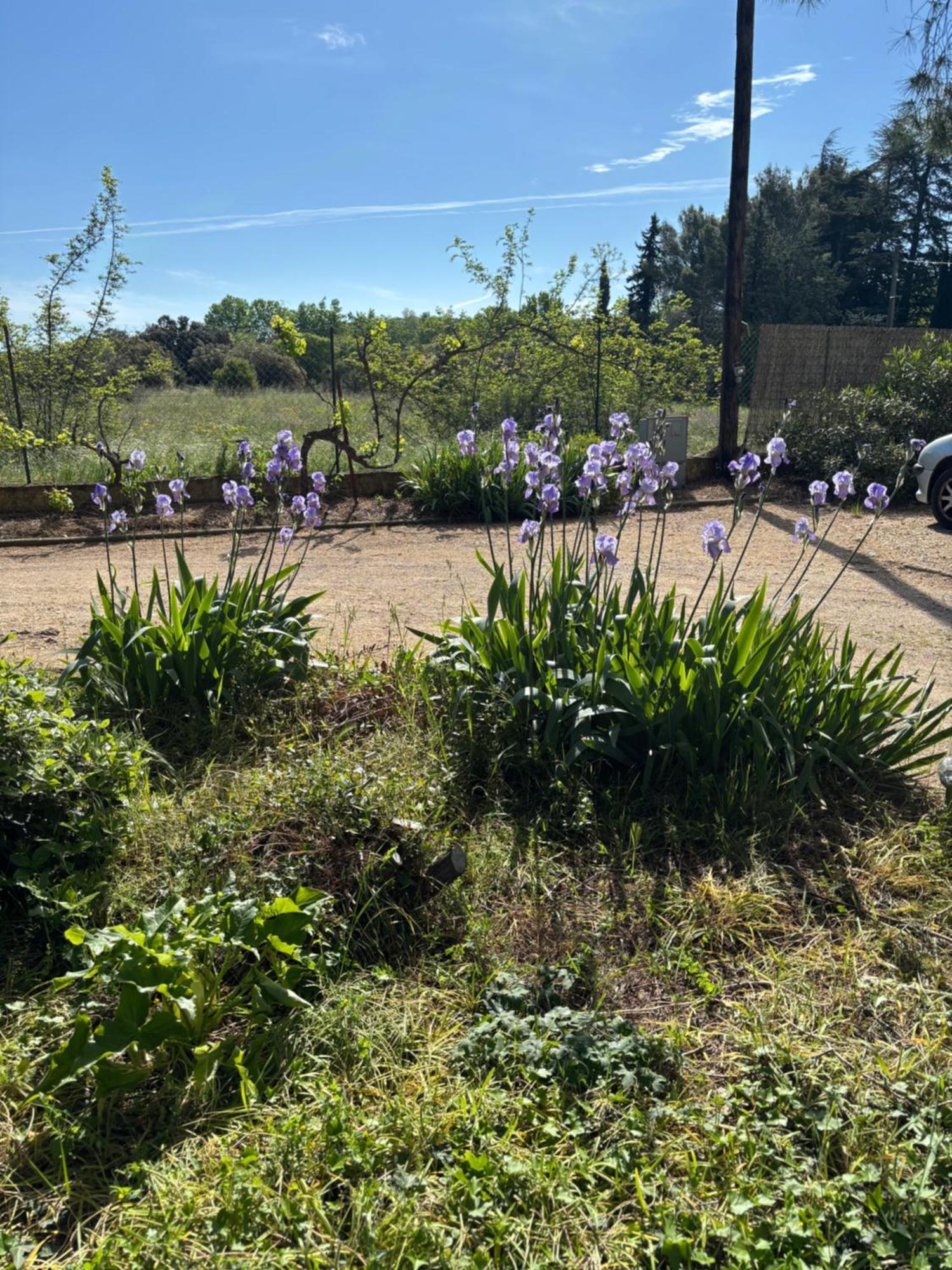 Havre De Paix Au Pont Du Gard Piscine Et Jacuzzi Chez Valerie Payre *